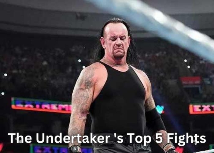 The Undertaker WWE Top 5 Fight | The Undertaker WWE Most Top 5 Match